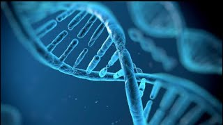 Dream: Alien•Human Mixtures/Corrupted/Unclean. THE END TIMES. As in the days of Noah! Part 2