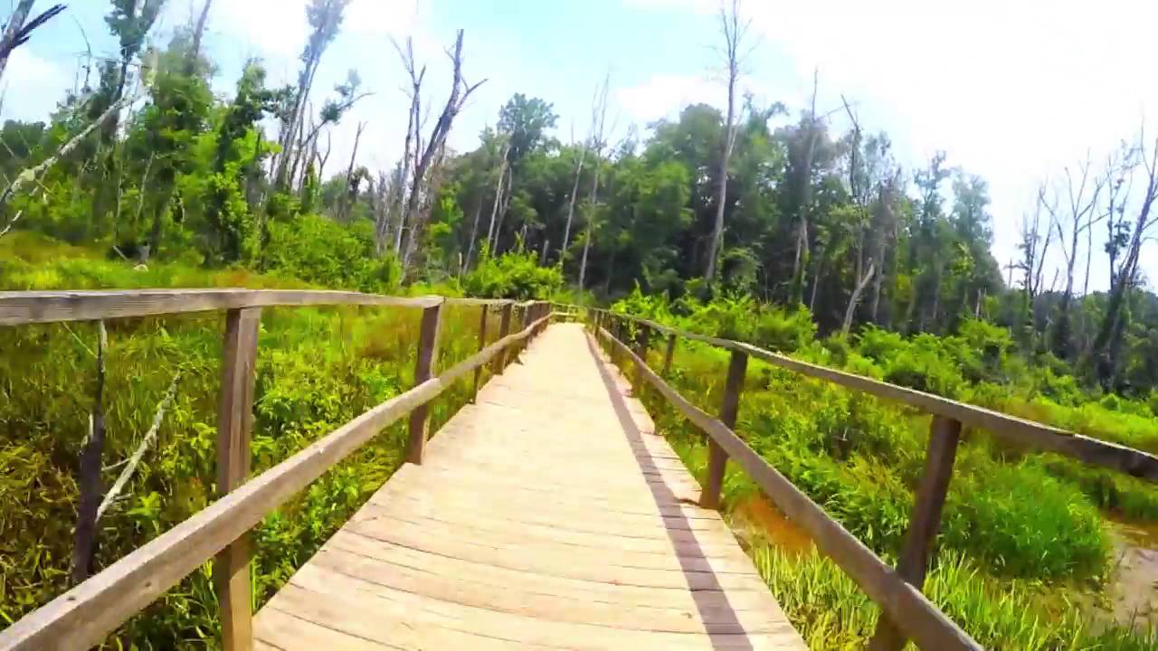 Swell Vision Bamboo Shades Promo