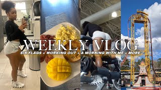 WEEKLY VLOG| FACING MY FEAR OF ROLLER COASTERS+ LEG DAY WORKOUTS + TRADER JOES HAUL| Sharae Palmer