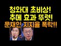 청와대 초비상! 추메 효과 뚜렸하다! 문재인 지지율 폭락!(20.11.27.)