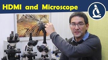 Connecting a microscope with HDMI to a monitor 🔬 | Amateur Microscopy