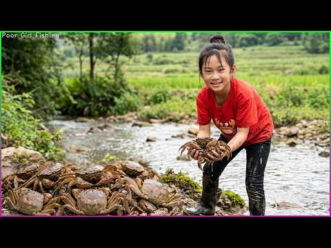 Unique Fishing - Giant Mud Crabs Catching In Muddy at Swamp after Water Low Tide