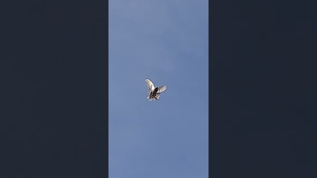 23 февраля Витя Х.Б.