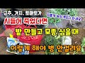 고추.가지.토마토가 시들어 죽은 경험이 있다면 밭만들고 모종심을때 이것 뿌리고 심어야 병안걸려요 청고병풋마름병시들음병 청고팡입제