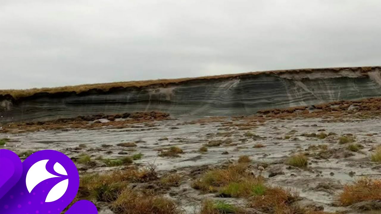 Между Гыдой и факторией Юрибей произошла большая просадка тундры