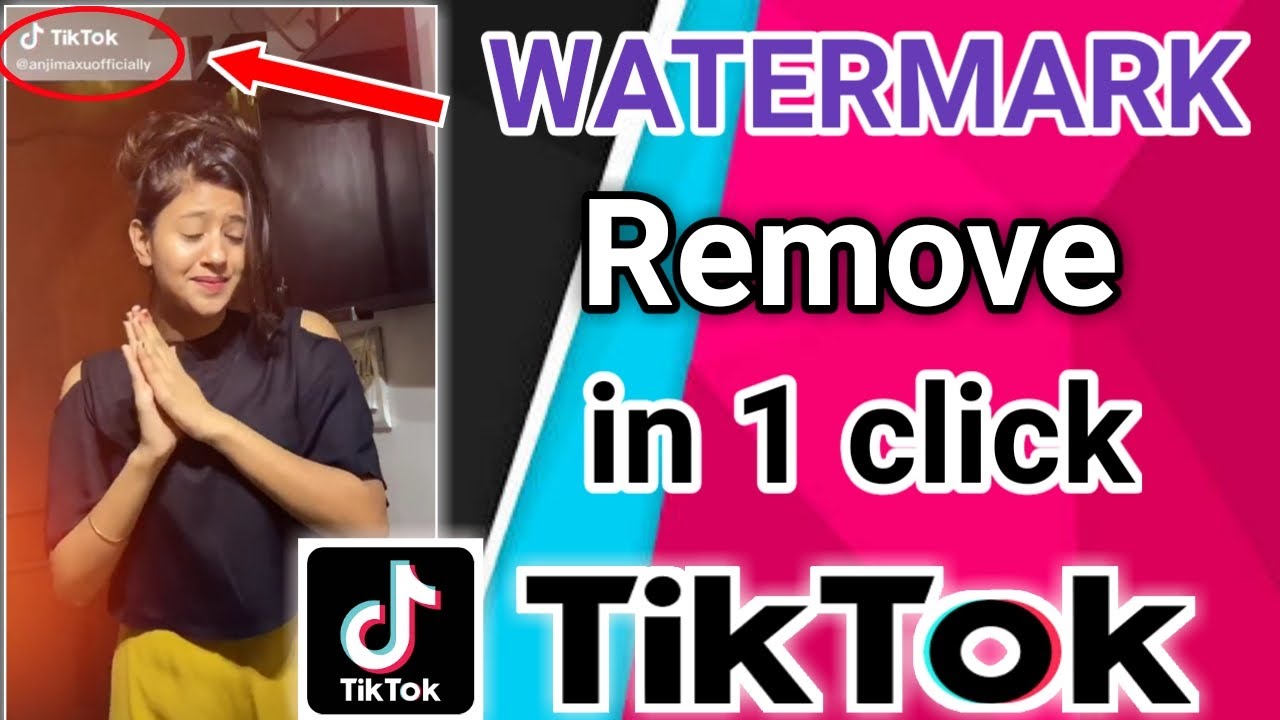 tik tok video download no watermark 2019 tik tok video download no watermark 2019