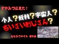 【小さいおじさん!?】小人?妖精?宇宙人?超レア動画!見えた人は幸せになれる?不思議な生物…信じるか信じないかはあなた次第。やらせ、加工合成、一切なし。見えたら良いことあるも^ ^