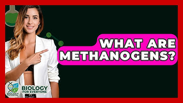 What Are Methanogens? - Biology For Everyone