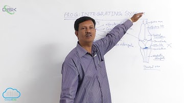 PH Tetrapoda || Frog integrating system brain 4 || Disk Telangana