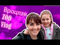 Вроцлав Польша 2019 Vlog Зоопарк во Вроцлаве Бесплатный вход в зоопарк Страйк учителей в Польше