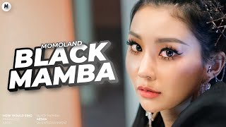 How Would Momoland Sing “Black Mamba” (aespa) — Line Distribution