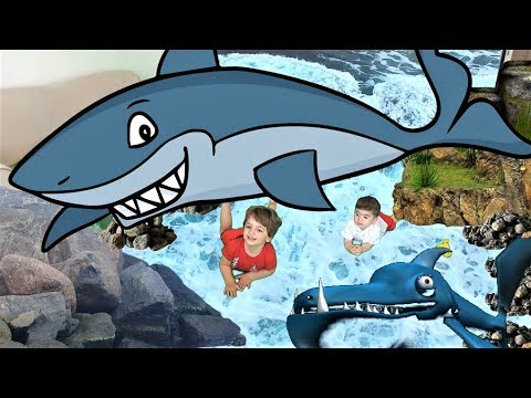 Aras Ve Yildiray In Kopek Baligi Maceralari Eglenceli Animasyon Funny Kids Video Youtube