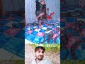 The Most Dangerous Real-Life Snakes and Ladders Game Ever! One Wrong Step