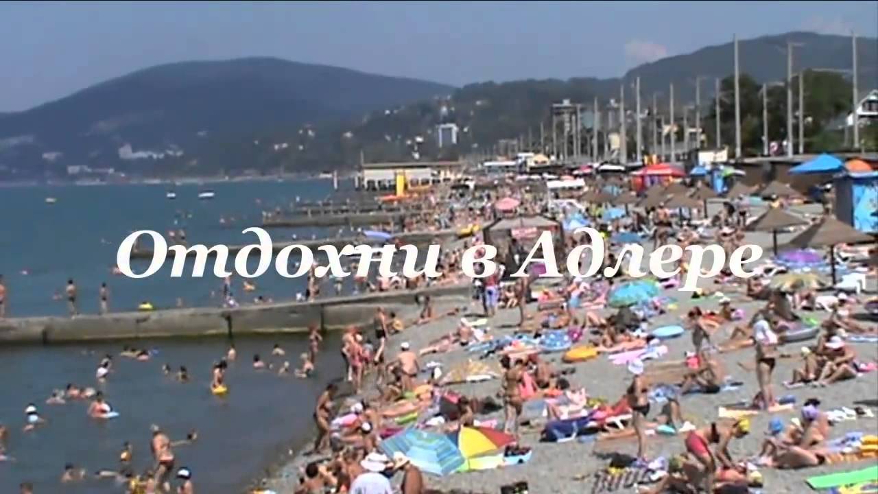 Карина адлер гостевой