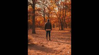 Celebrity Jared Jacobs - Blackout Net Worth