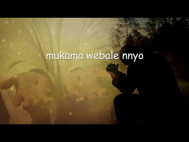 WEBALE LYRICS VIDEO class=