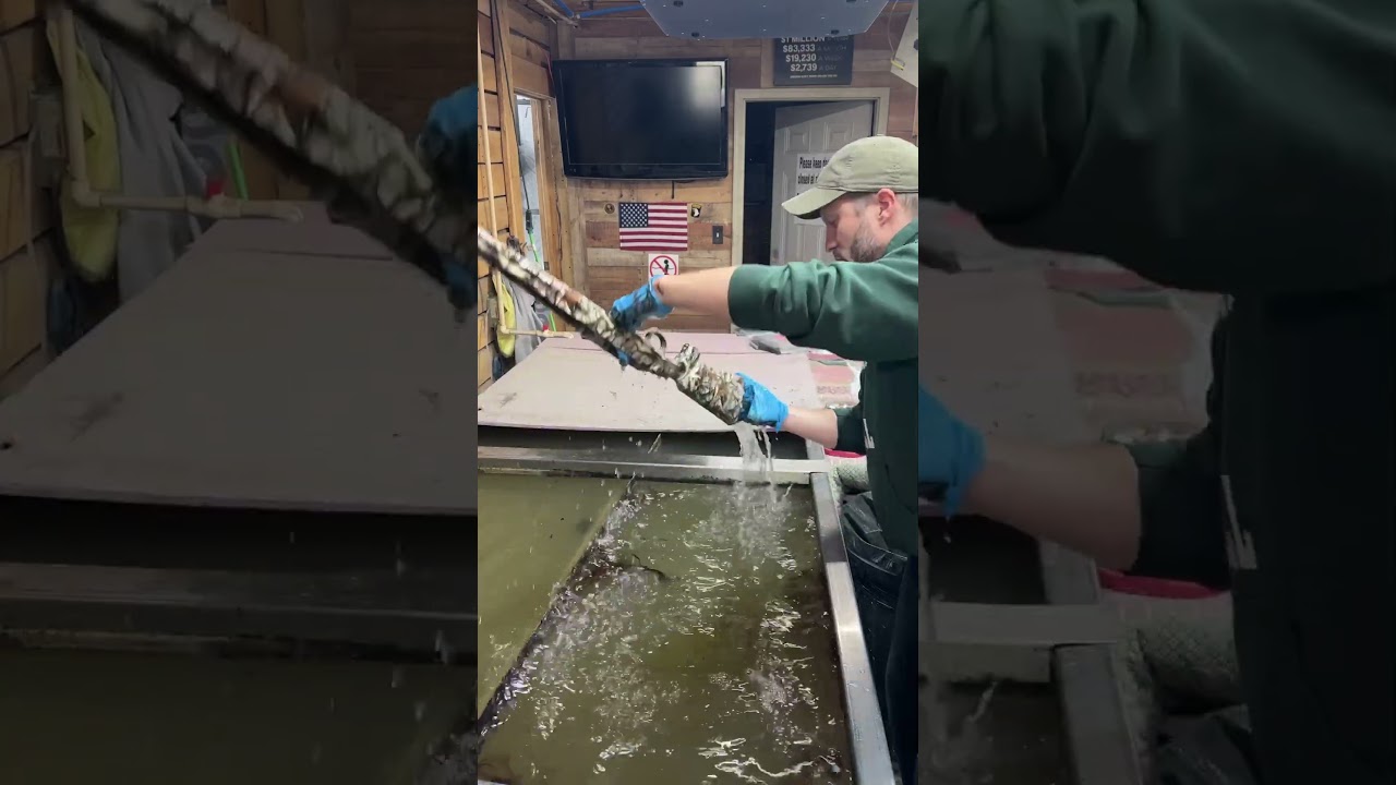 How to hydro dip with camo onto a gun stock 