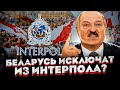 МИРОВОЙ СКАНДАЛ - Лукашенко использует Интерпол - Расследование BYPOL