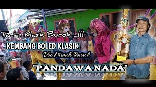 Kembang Boled || Burok PANDAWA NADA 2021