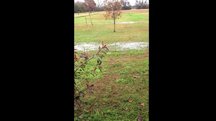 It's 31 outside; brr!! And over the last month, we have caught up from a 2 year drought!!