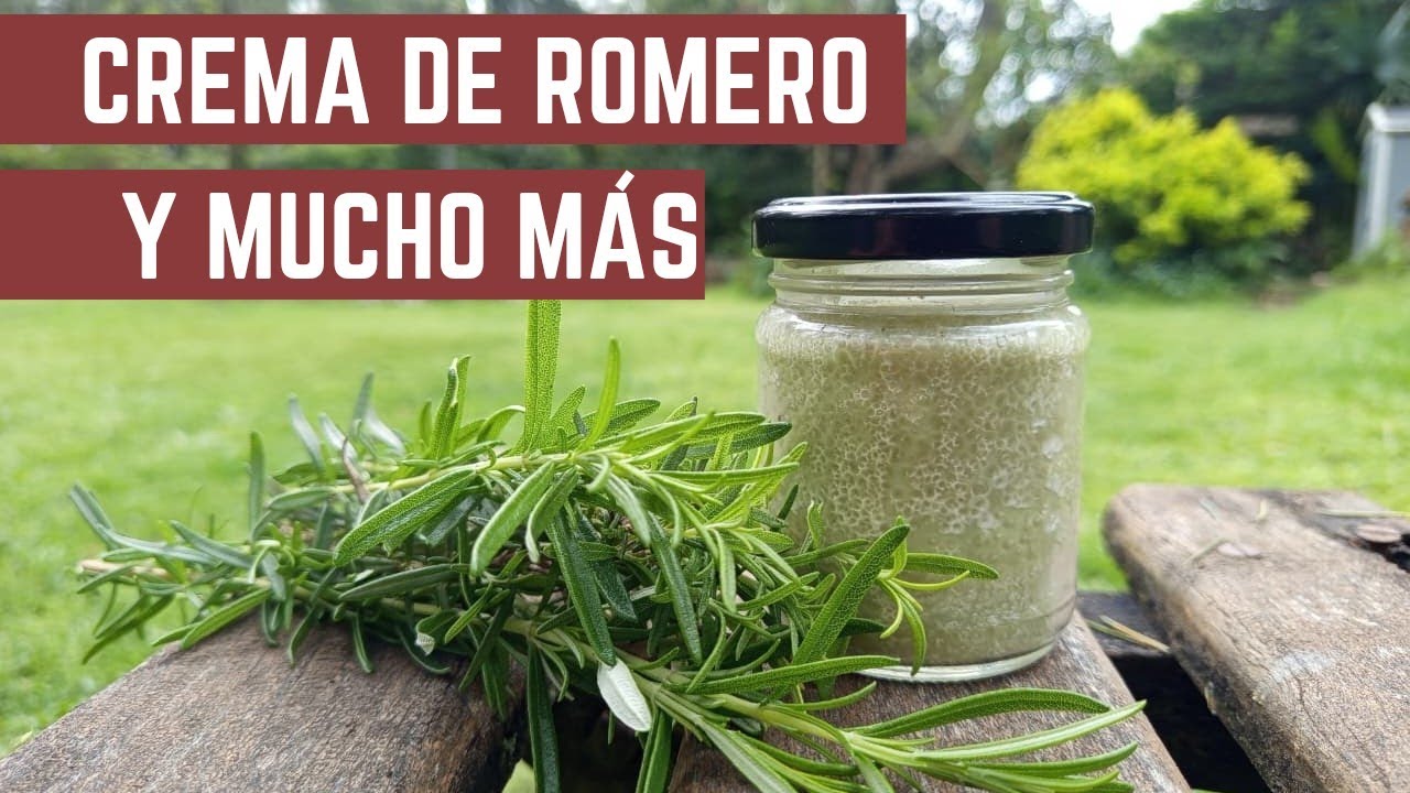 Crema de ROMERO y Alcohol de ROMERO - Solo 2 INGREDIENTES - Todos los Secretos de este Cultivo 