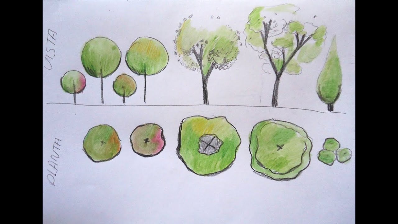 Tree tips  Arvore desenho, Floresta desenho, Desenhos de arquitetura