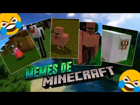 Memes De Minecraft Reaccion Solo Si Juegas Minecraft Youtube