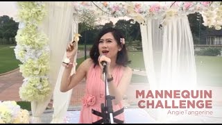 Bridesmaids Mannequin Challenge | AngieTangerine screenshot 3