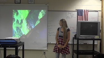 ASL Tangled: When Will My Life Begin