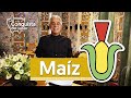 A la conquista del sabor: Maíz