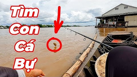 Câu Cá Vồ Đém Mùa Nước Nổi #23 || Bơi Xuồng Ra Phía Ngoài Tìm Hugo .