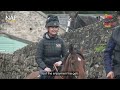 Equestrian Sport Stars Ride Racehorses On The Beach
