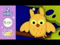 Abadas | Animals & Nature | Owl, Sea Turtle & Starfish | 2 Hour | Cloudbabies & Friends