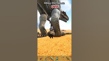 Challenge KILL GIGA WITH OVIS