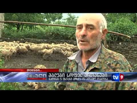 ახალი 12 | მგლები სოფელ ართანაში | 28.07.13