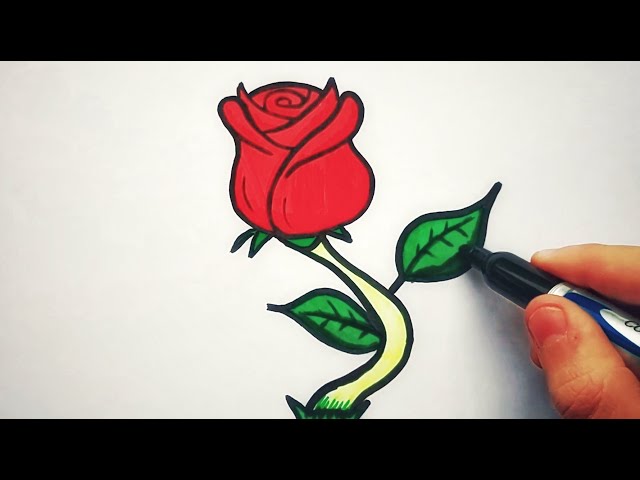 ROSE Dessin Facile 🌹au crayon  Comment dessiner une rose étape par étape  