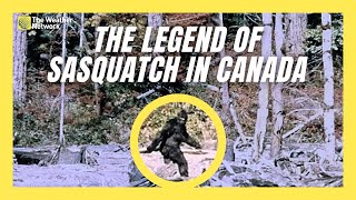 Is Canada The Birthplace Of The Sasquatch The History Behind The Legend