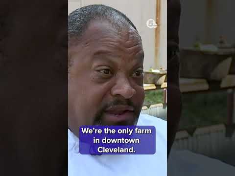 Video: By die Cleveland-dieretuin?