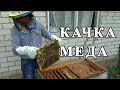 Качка Мёда. Как Выкачать мед из улья.