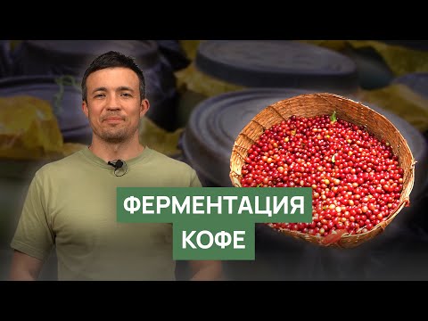 Ферментация кофейного зерна