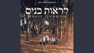 Video thumbnail of "Shmuly Schneider - Liros Bunim"