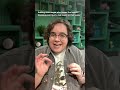 How do plants keep their roots cozy? #shorts #science #SciShow