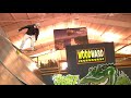Woodward Shop Sessions: Kinetic Skateshop