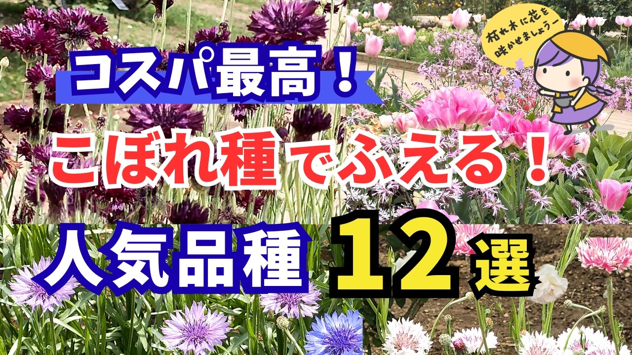 月が注ぐ花 Enjoy for free every year] Plant now! Flowers that bloom