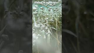 iPhone 16 water test #ytshorts #iphone #viral #water test