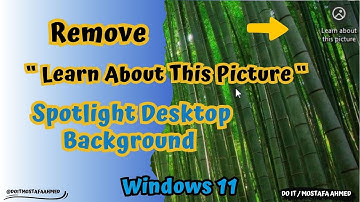 Remove "Learn About This Picture" icon On Windows 11 Spotlight Desktop Background