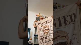 Pov: hai 29 anni ma è appena uscito in edicola il telo mare di One Piece 🤓 #onepiece #anime #manga