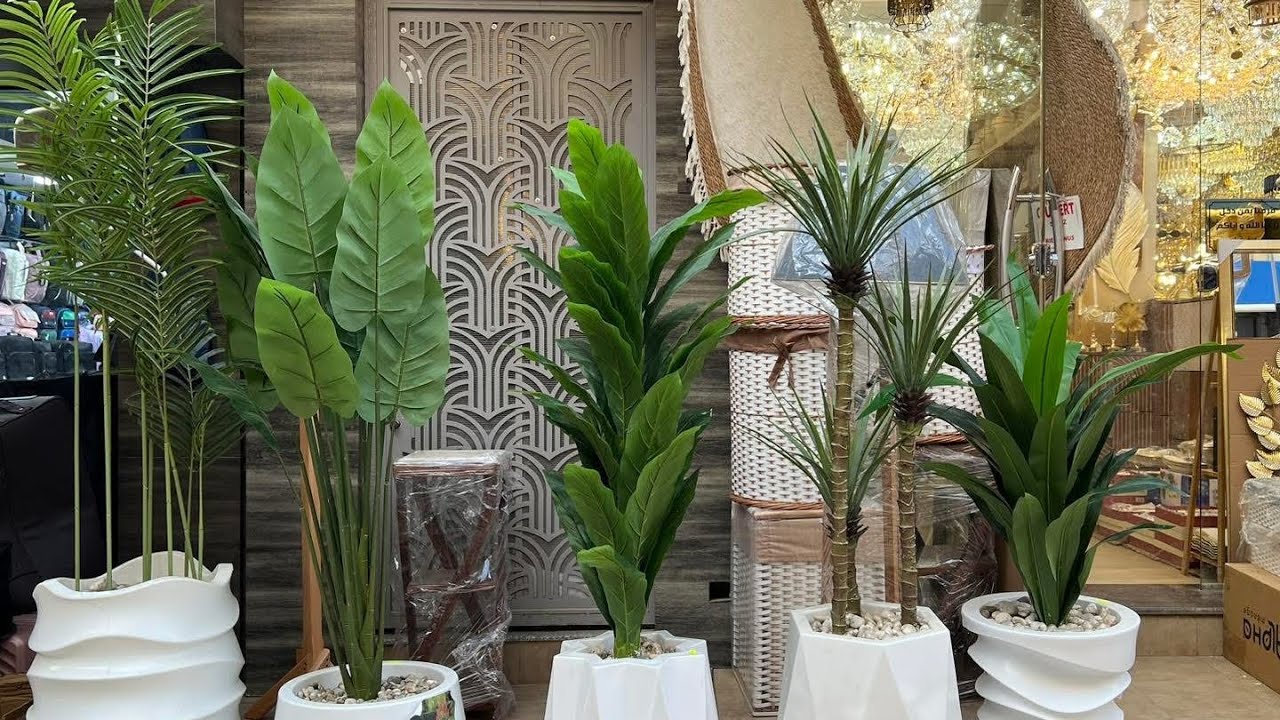 سوق مدنين 🛒جولة تعمل الكيف🛒 كملنا قضينا لتغييرات منزل❤️