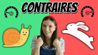 Mots Contraires - Animaux - Vidéo éducative en français pour enfants