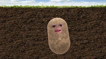The Potato Reads Odd Thomas Chapter 14